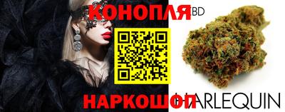 тгк Кингисепп