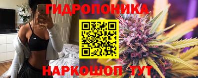 индика Кимры