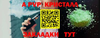 тгк Кингисепп
